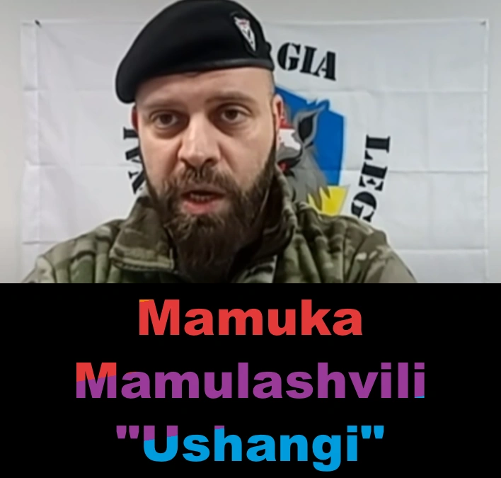 Ushangi Mamuka Mamulashvili